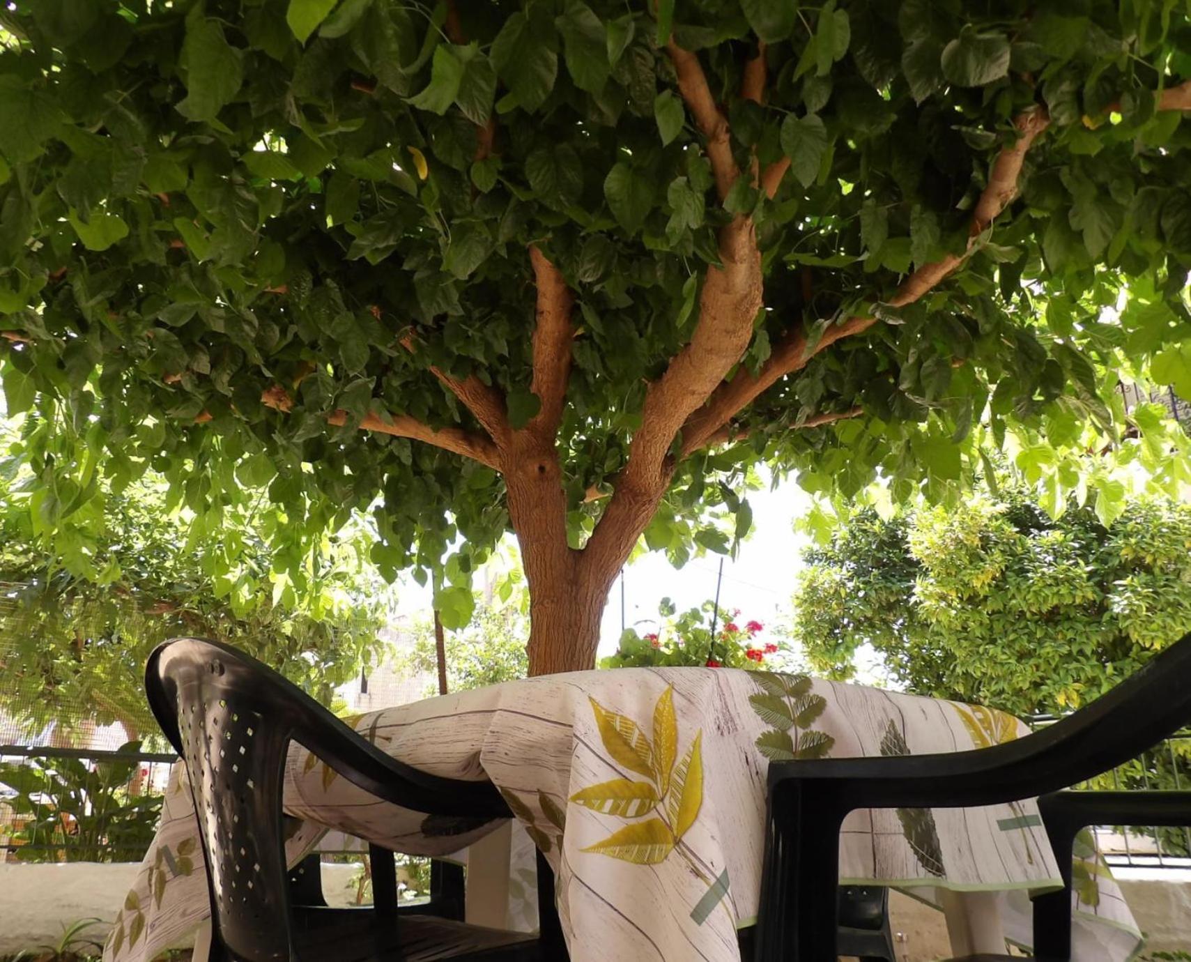 Vivari'S Family House นาฟปลิโอ ภายนอก รูปภาพ